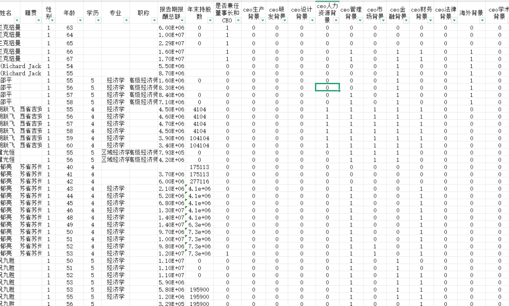 CEO特征数据CEO基本信息数据2005-2024年